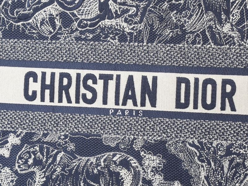 Christian Dior Shopping Bags